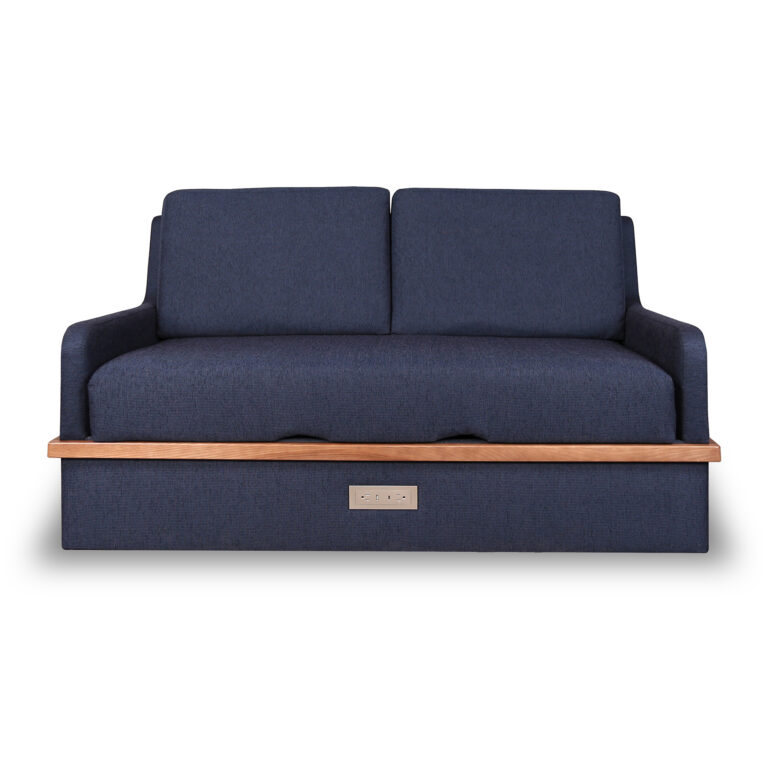 X-242 Sleeper Sofa